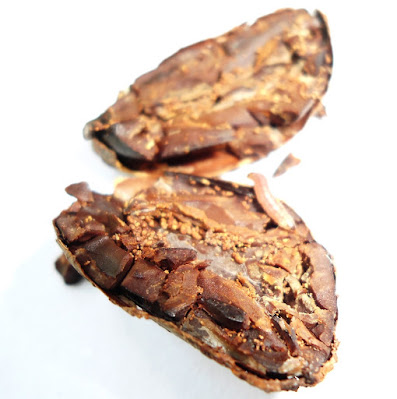 Grano de cacao Infestado. Grano de cacao Infestado.