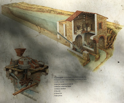 Montagnola senese: sentiero n. 402 nella Riserva Naturale Alto Merse