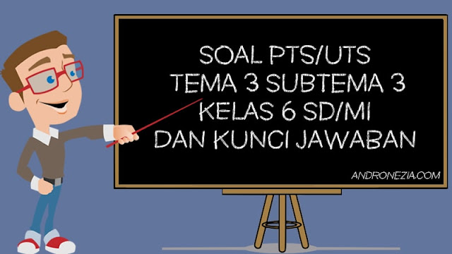 Soal PTS/UTS Kelas 6 Tema 3 Subtema 3 Semester 1