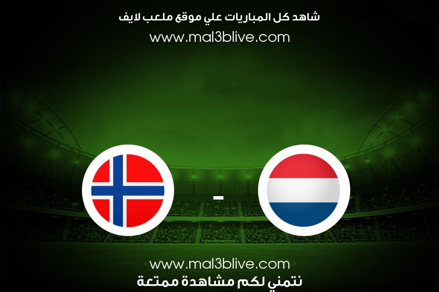 مباراة هولندا والنرويج