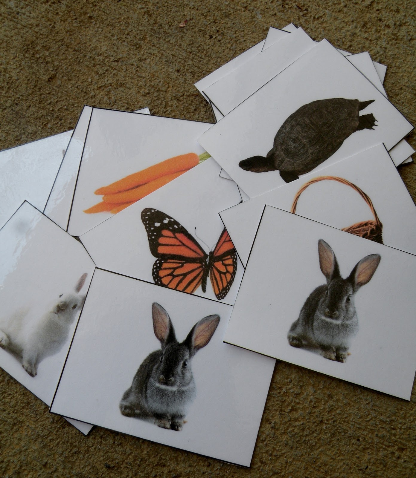 The Fantastic Five: Little Rabbit Learning