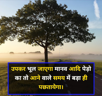 Tree Shayari Image