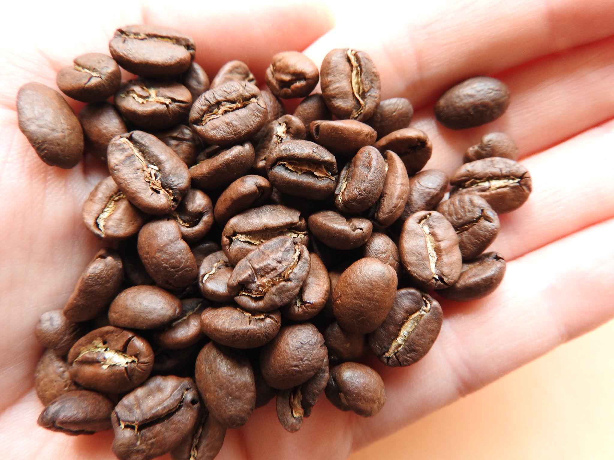 Coffee Beans Pooped Out By Goats Poop Coffee Cat Monkey Elephant Bat