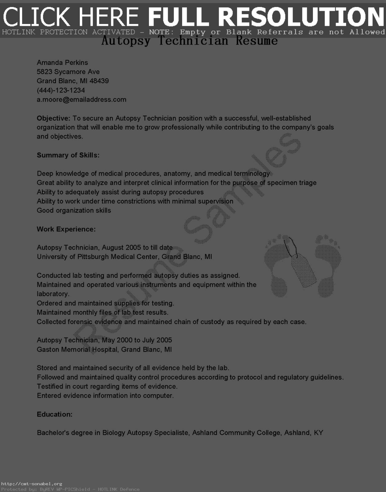 Barback Resume Sample 2019 Sample Resume For Barback 2020 barback resume sample barback resume example sample resume for barback barback resume objective example barback resume samples barback resume examples barback resume sample