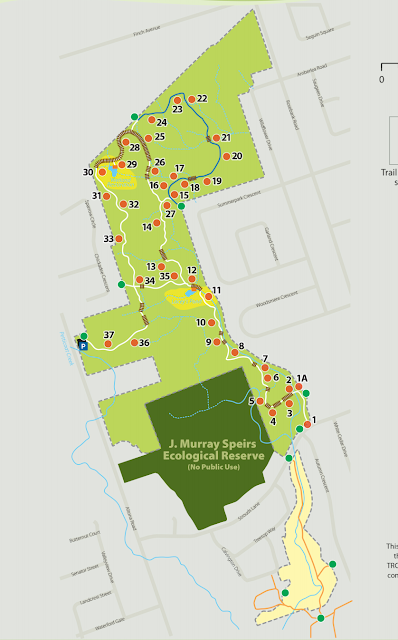 Map of Altona Forest Trail