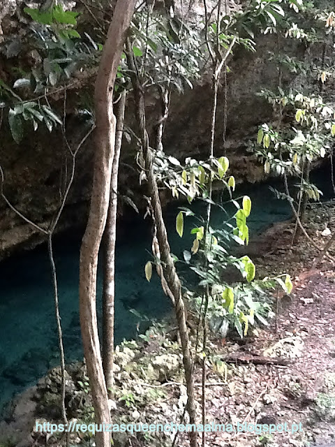 Cenote Sac Actun, México Cenote Sac Actun, México
