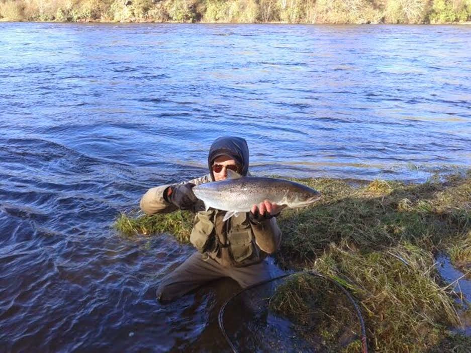 Salmon Fishing Scotland. Salmon Fishing Scotland Mighty Tay Spring
