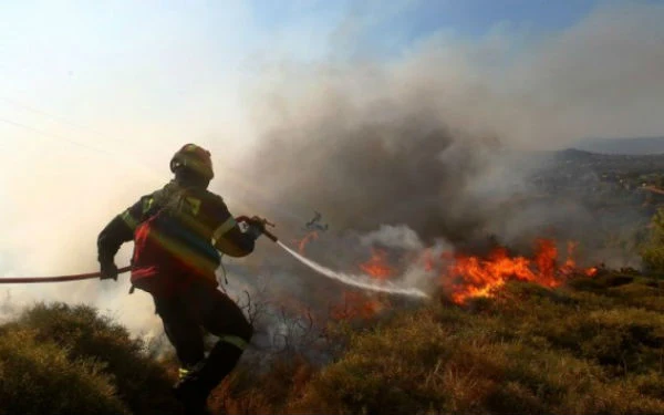 Εύβοια: Μεγάλη φωτιά σε πυκνό δάσος στην Άτταλη