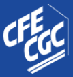 CFE CGC Adecco Groupe France