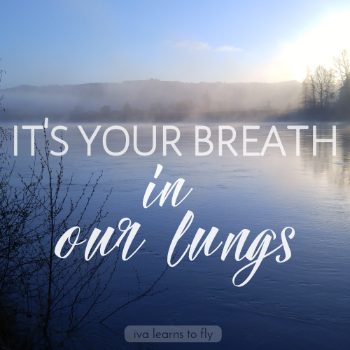 iva learns to fly It's your breath in our lungs iva learns to fly It's your breath in our lungs