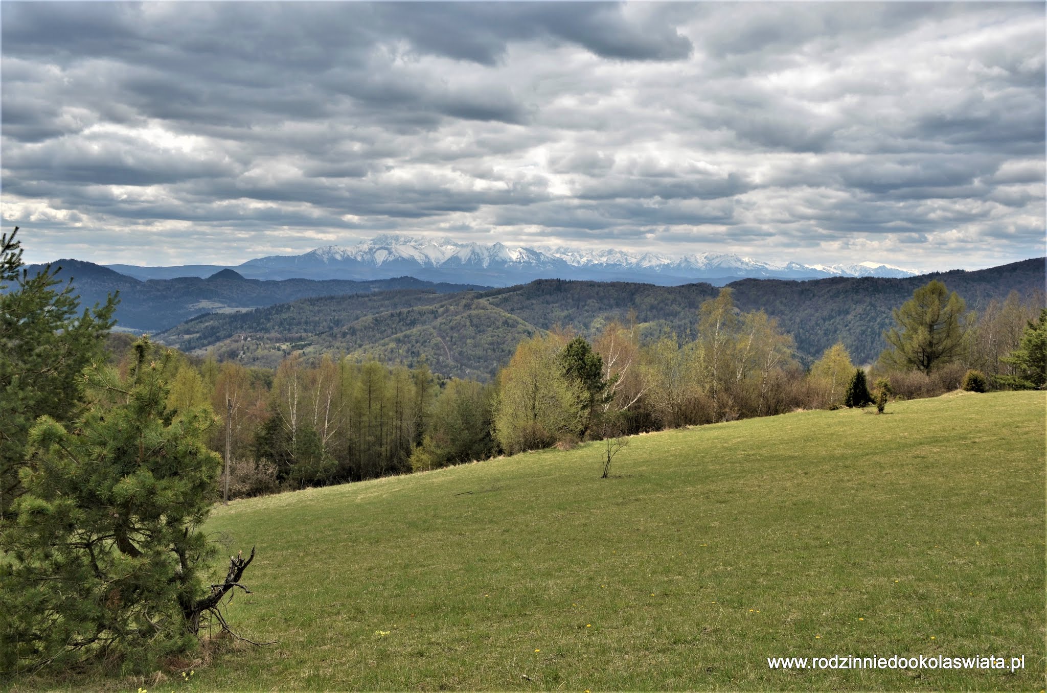 Wieża widokowa na Koziarzu z Tylmanowej Beskid Sądecki z dziećmi