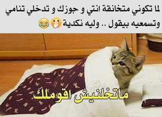 بوستات مكتوبة قصيرة للفيس بوستات مكتوبة قصيرة للفيس