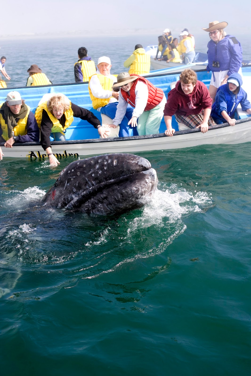 EN LA MIRA SE LLEVARÁ A CABO LA XXIV EDICIÓN DEL FESTIVAL DE LA