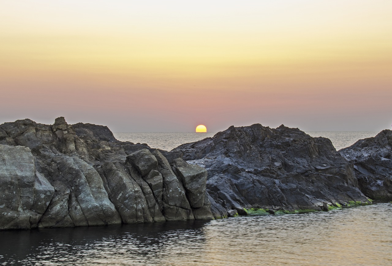 225+ Best Good Morning Images || Good Morning Images Download || New Good Morning Images 225+ Best Good Morning Images || Good Morning Images Download || New Good Morning Images