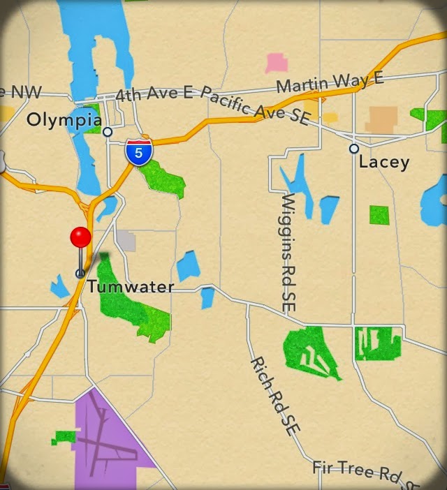 thurstonliving 2016andbeyond Tumwater Home Sales Snapshot YTD 2013