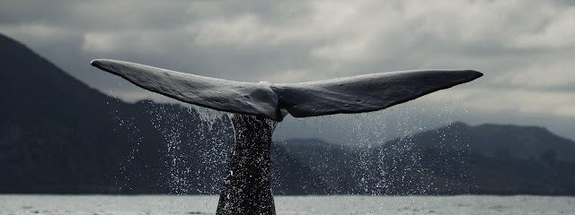 Ketahui 2 Manusia yang Suaranya Dikenali Oleh Para Malaikat!