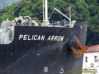 Pelican Arrow