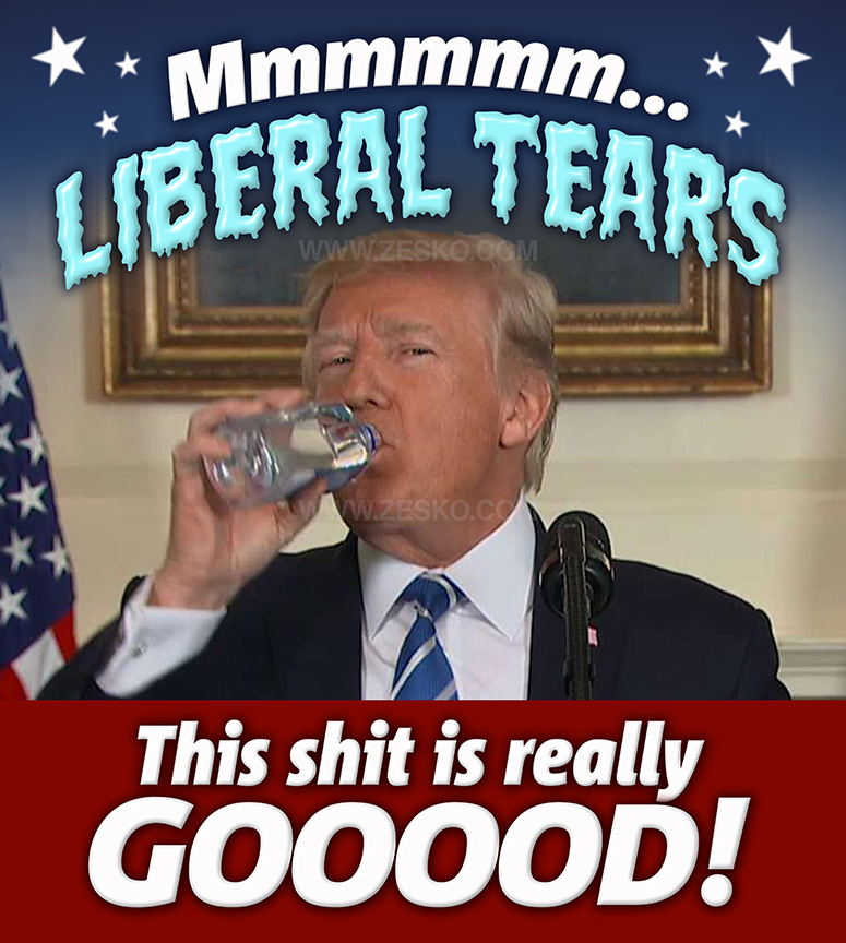 Download Free SVG Cut File - 25+ Best Memes About Liberal Tears Liberal Tea...