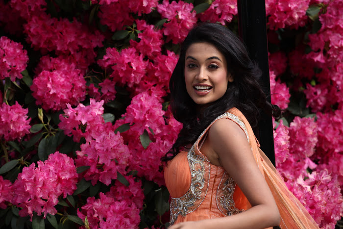 sarah jane dias spicy hq cute stills