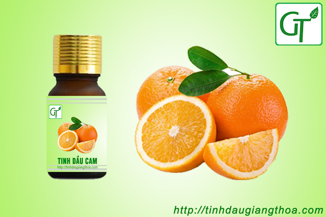 Tinh dầu cam ngọt nguyên chất (Orange Essential Oil) Tinh dầu cam ngọt nguyên chất (Orange Essential Oil)