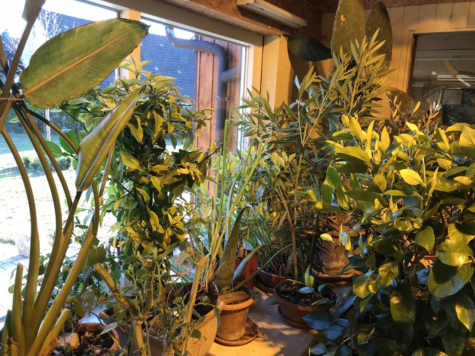 Der Herbstgarten Von Innen Und Von Aussen Im Grossen Und Im Kleinen