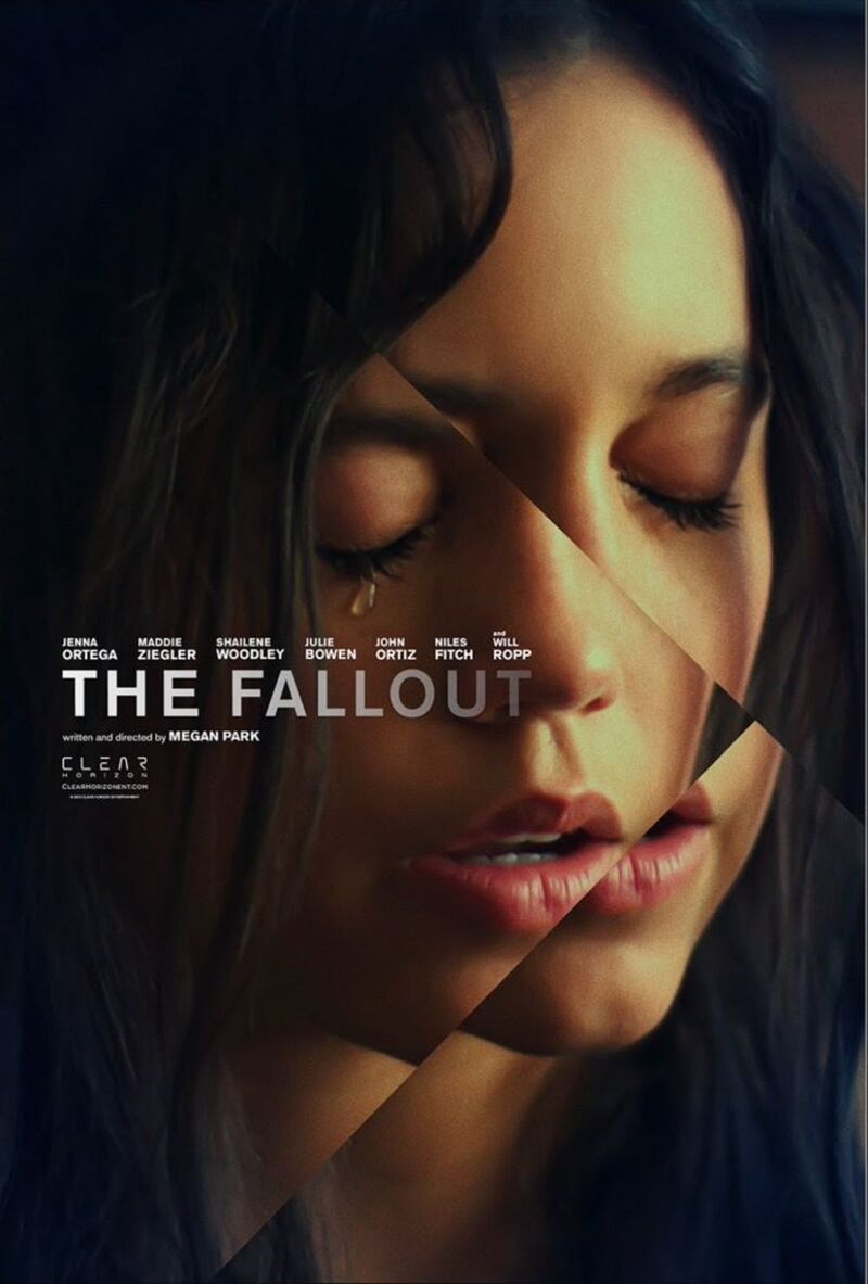 the fallout poster