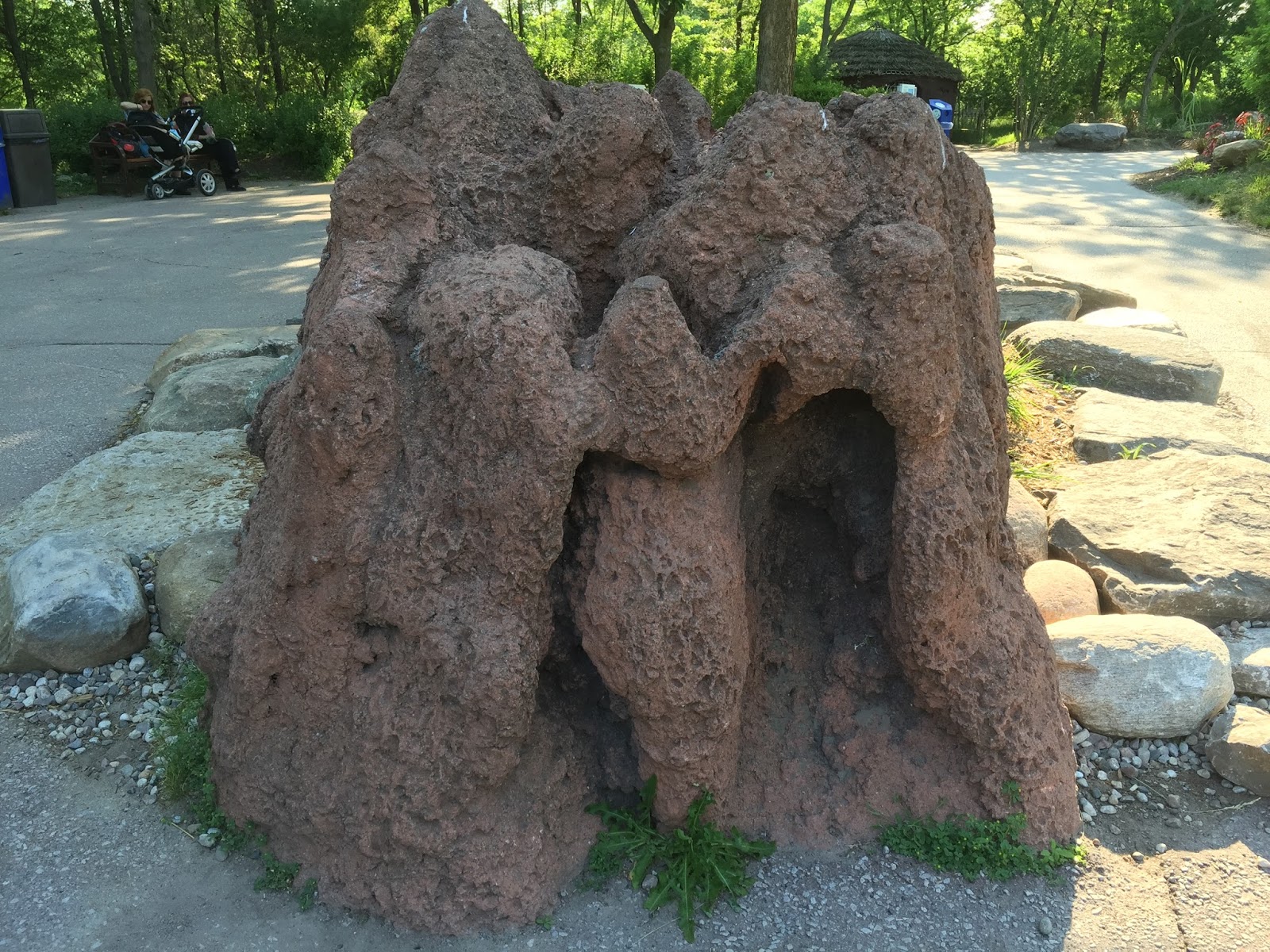 Termite mound cement picture
