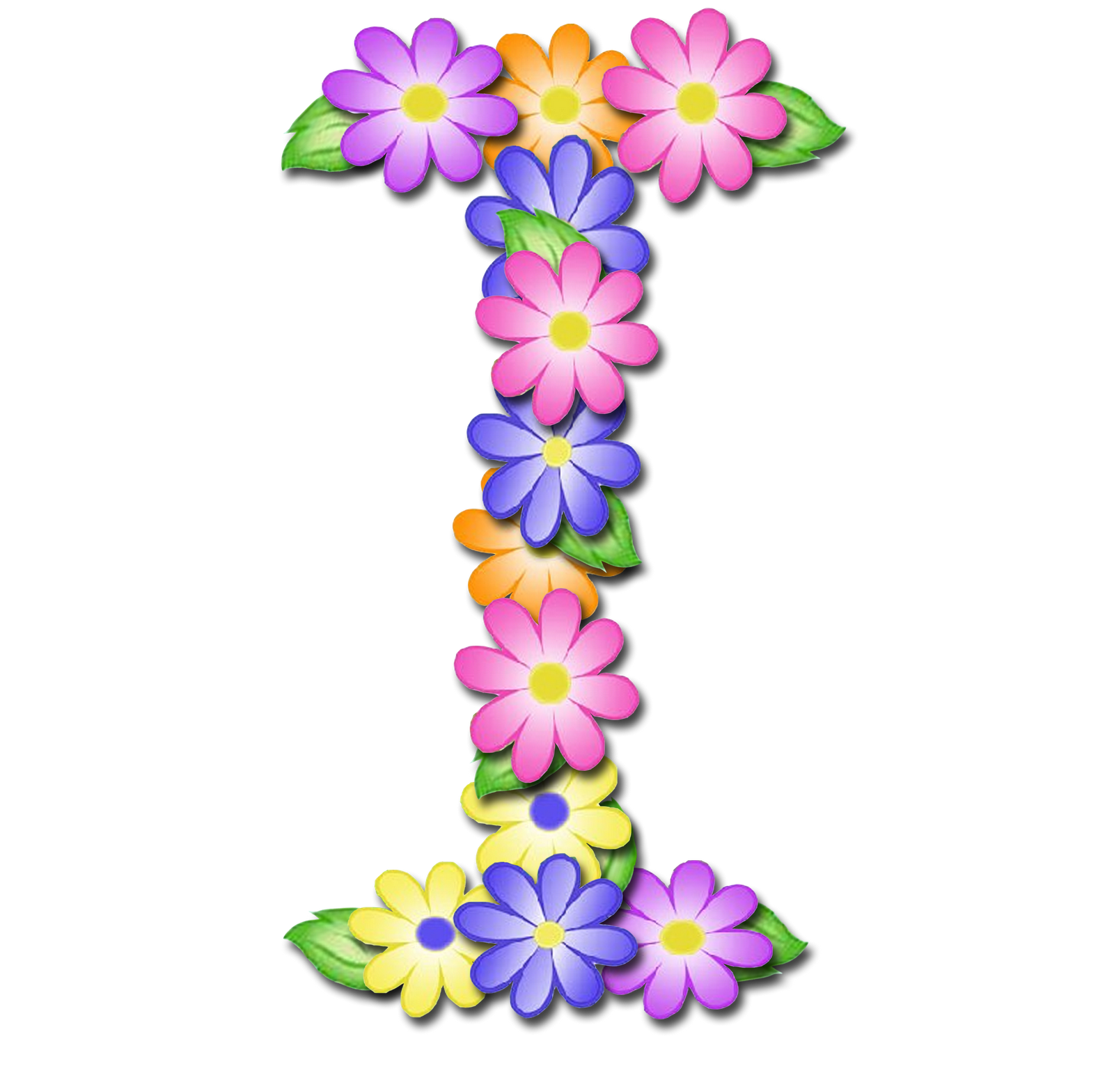My Image 11