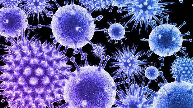 Diferencia entre virus y bacterias