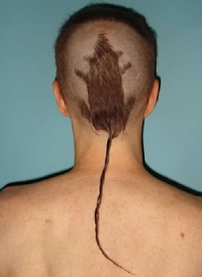 2. Latest College Humor Haircuts