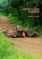 Portafolio / CV para descargar - Cintia Clara Romero