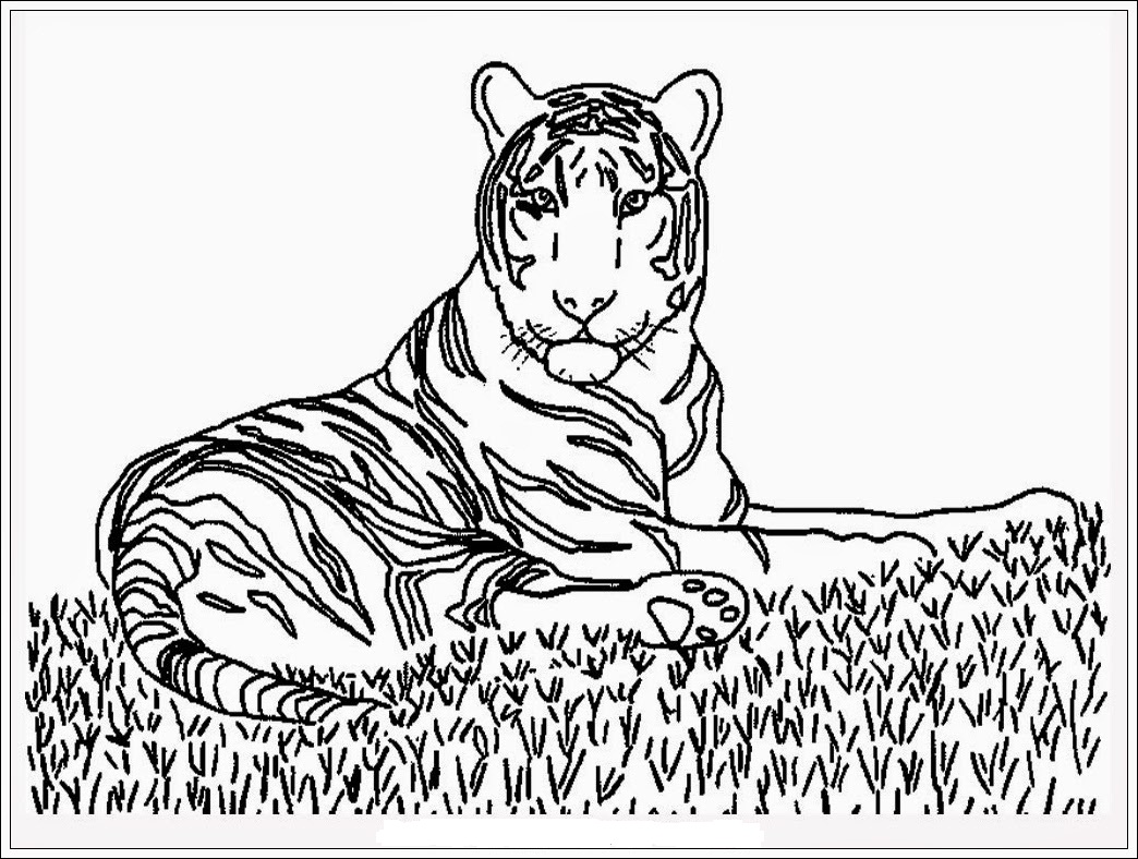 Mewarnai Gambar Harimau - Mewarnai Gambar