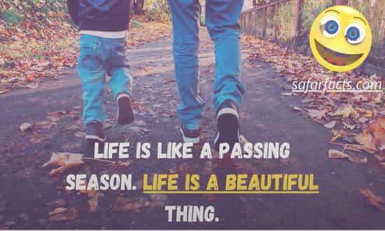 Living A Beautiful Life Quotes| That'll Motivate You?