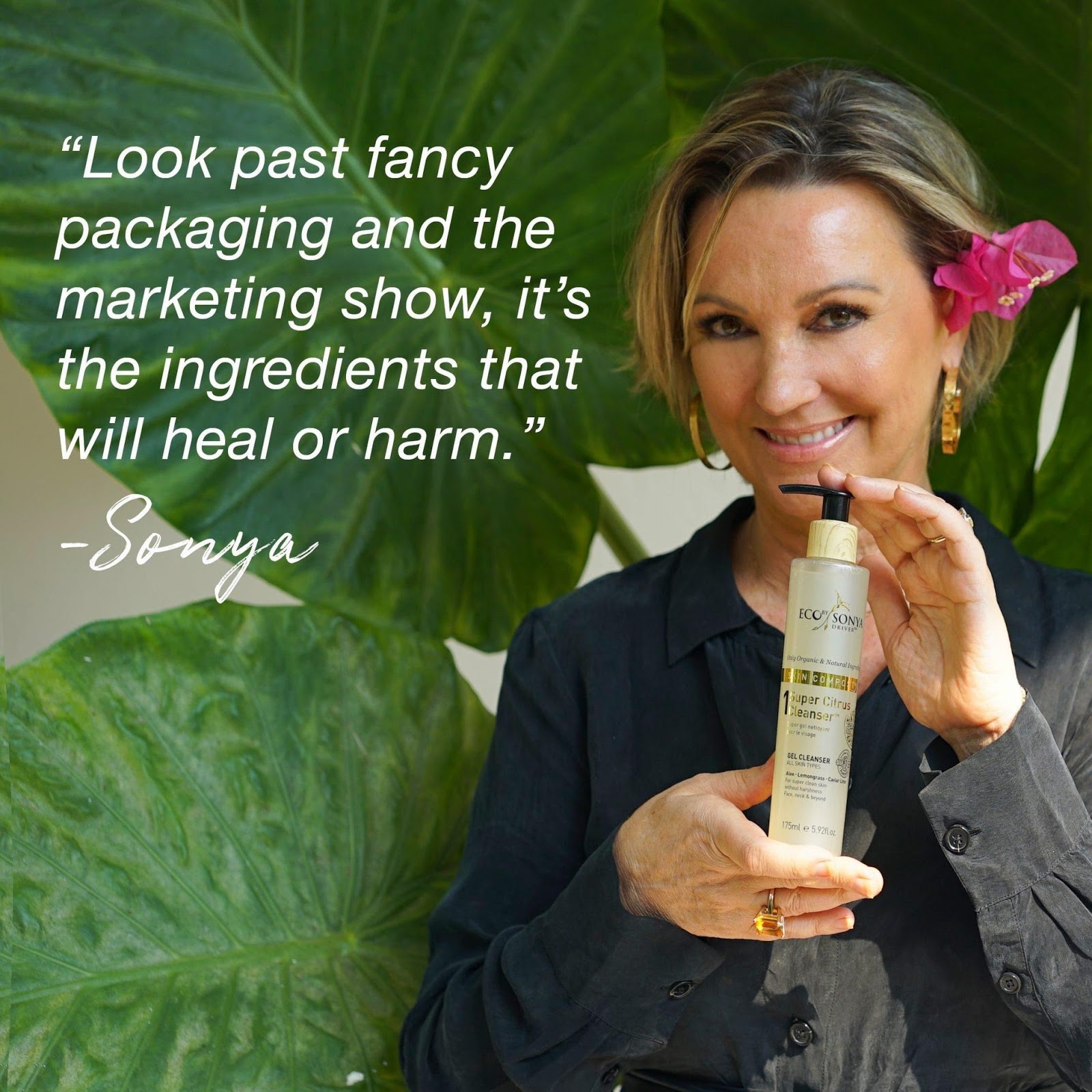 Norma Sitiz'S Journey To Success - bhchve4