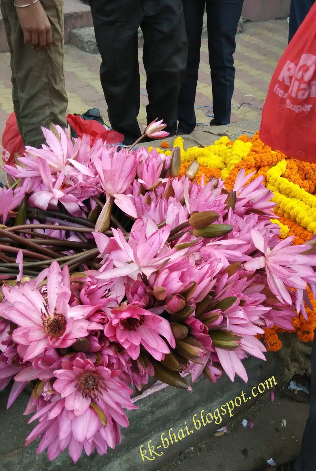 'Puja' Flowers and other things used in 'puja' (Hindu Worship). Tagetes Genda flowerगेंदा के