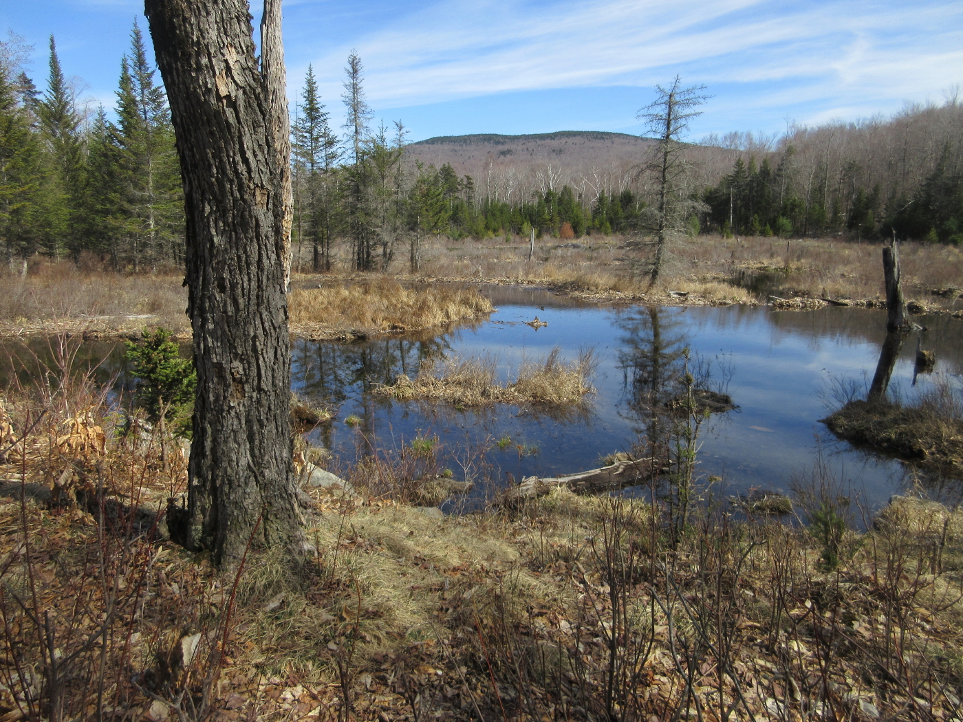 Mountain Wandering 2016