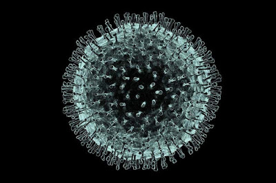Coronavirus COVID-19 y su relación con los alimentos