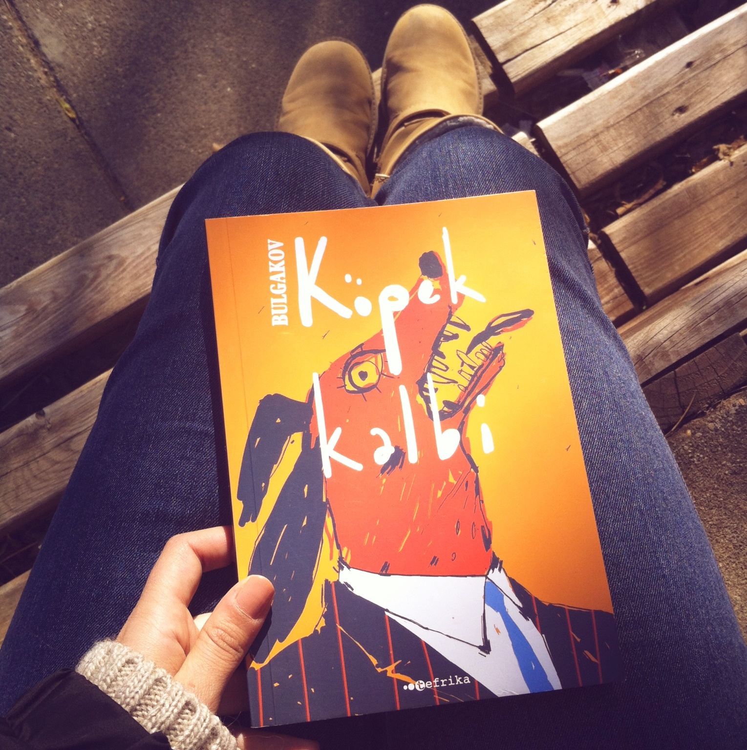 Glorrry Books Köpek Kalbi Bulgakov Kitap İncelemesi *83