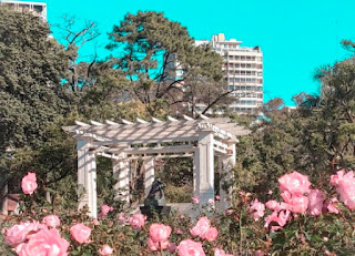 El Rosedal de la Ciudad de Buenos Aires.