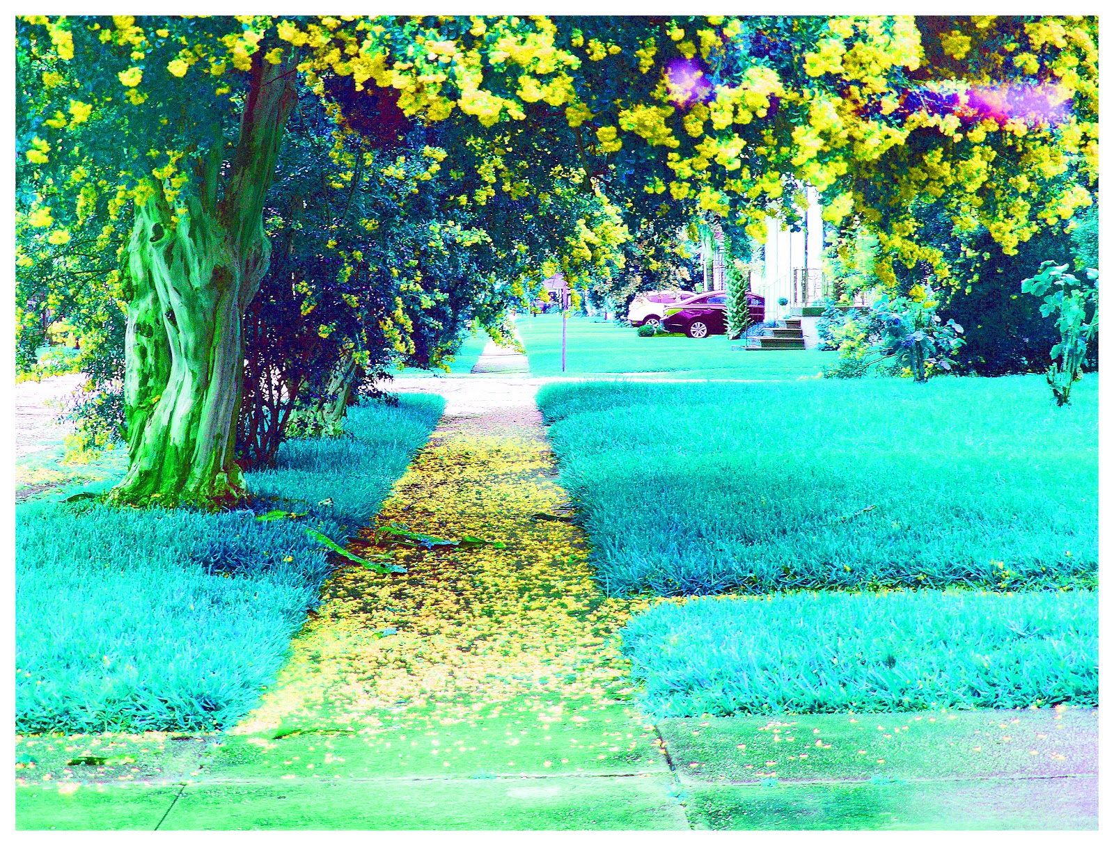 Angels And People Life In New Orleans June 2018 angels-and-people-life-in-new-orleans-june-2018