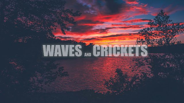  Soothing Sounds of Waves and Crickets at Night