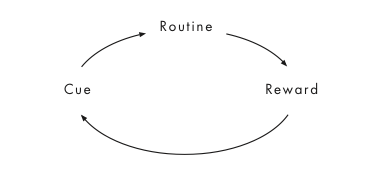the rocky headland: Habits