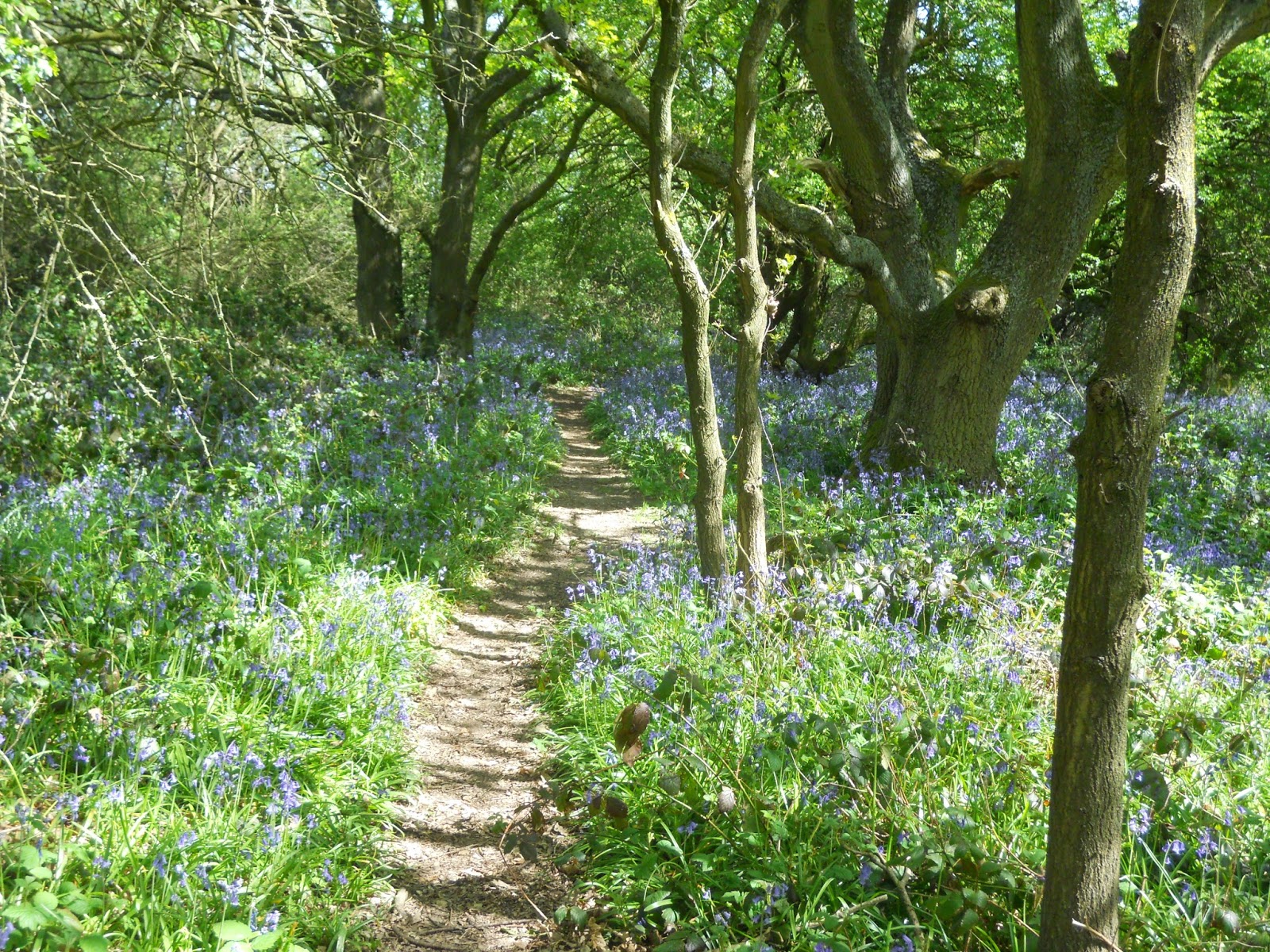 Malcolm Bailey's MULTIVERSES