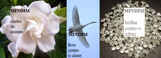 MINDIM NOS REINOS vegetal=jasmim gardênia*animal=cisne branco*mineral=diamante xibiu