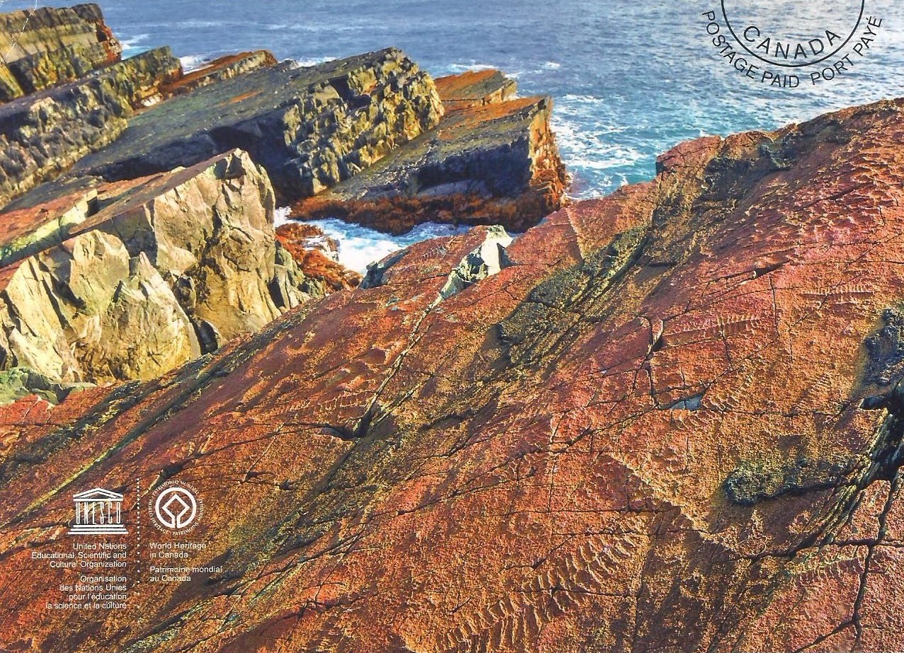 MY UNESCO WHS POSTCARDS COLLECTION CANADA Mistaken Point