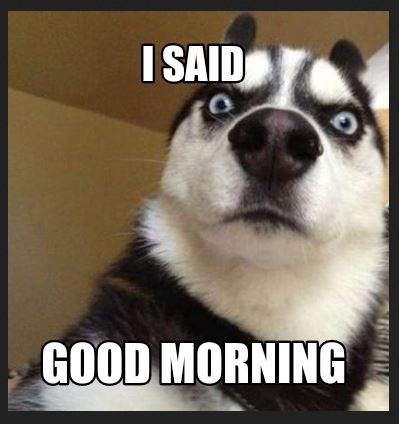 Funny Good Morning Memes For Instagram Whatsapp Facebook