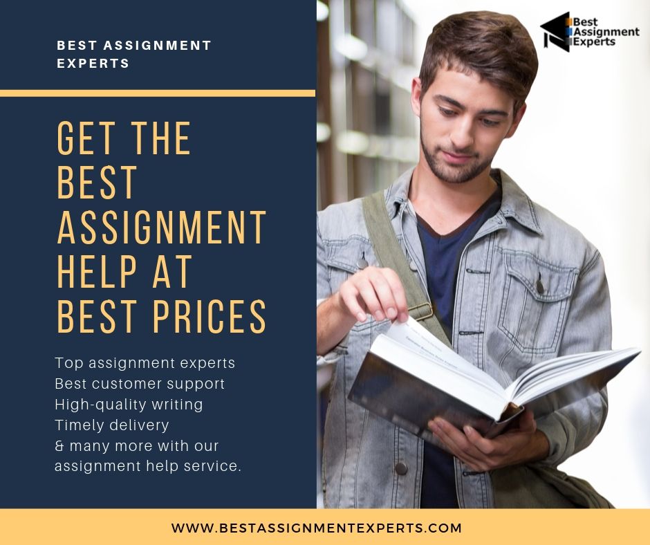 free assignment expert