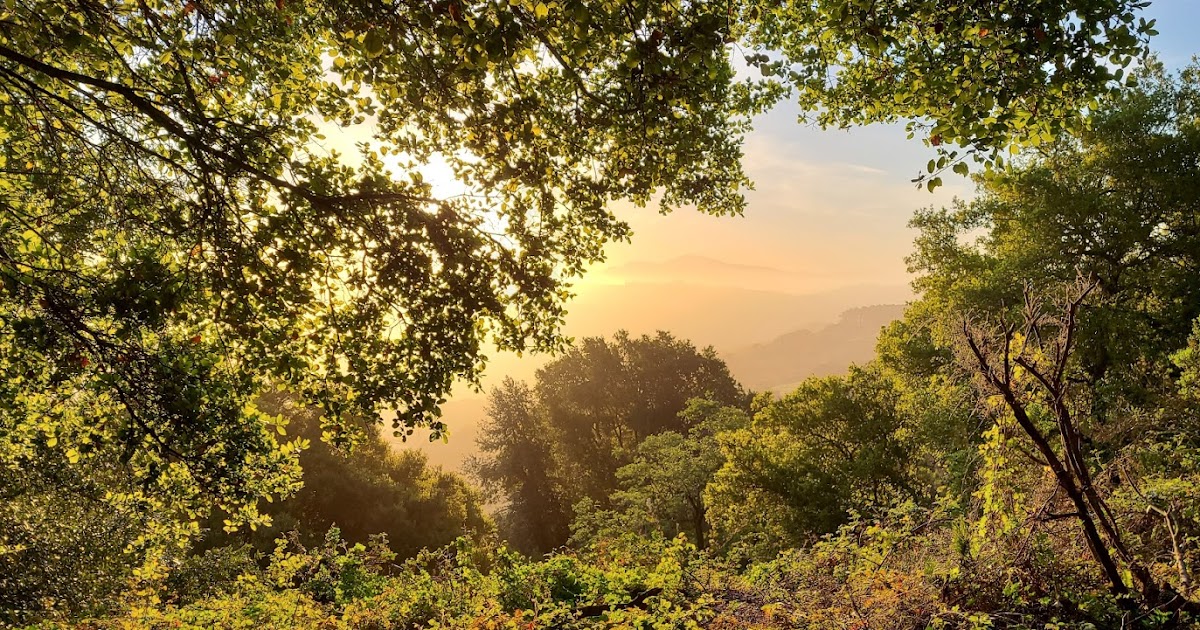 How to Avoid Being BikeJacked