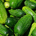 Amazing Health Benefits Of Cucumber