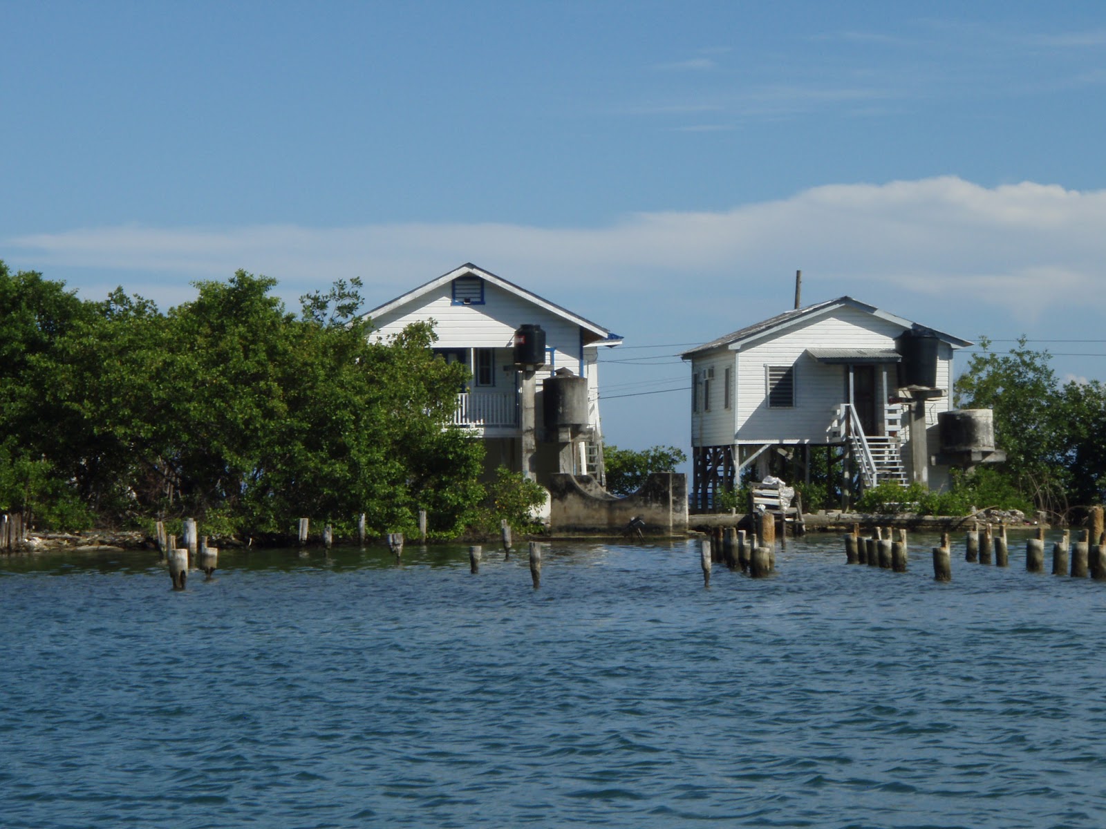 Le Chat Beaute: Oak Ridge Harbor, Roatan